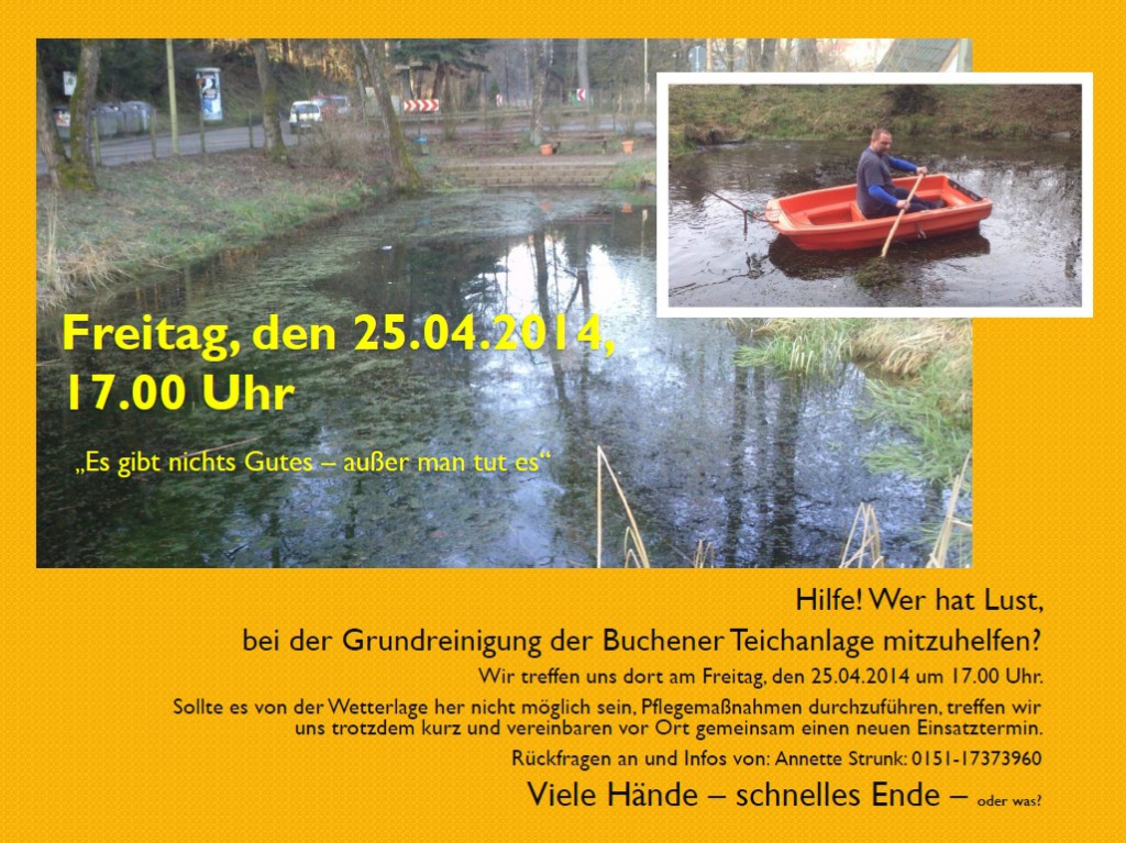 waldsaeuberungsaktion042014