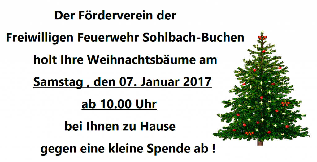 Feuerwehr_holt_Deinen_Weihnachtsbaum_2017